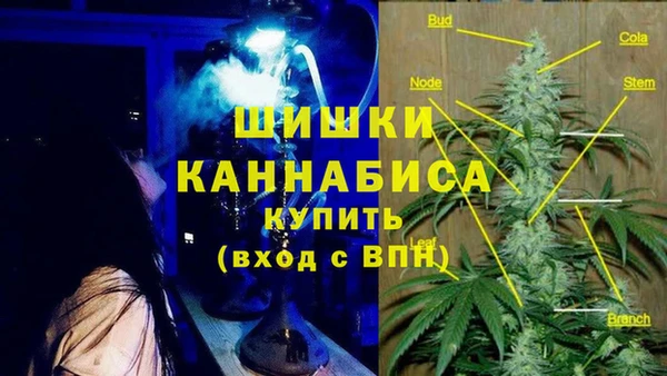 гидра Армянск